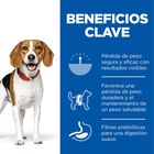 Hill's Science Plan Perfect Weight Adult Medium Pollo pienso para perros, , large image number null